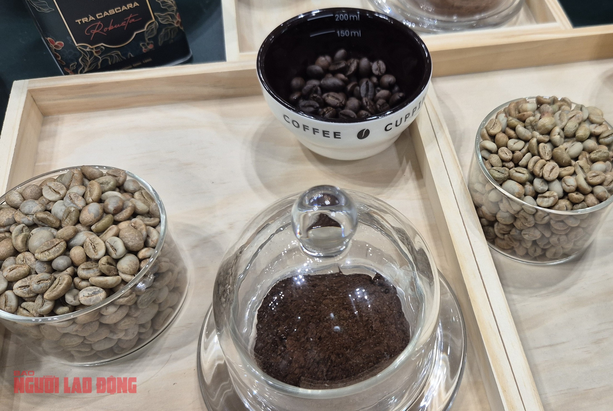 Giá cà phê hôm nay 17-6: Arabica bùng nổ, Robusta nối dài chuỗi tăng - Ảnh 1.