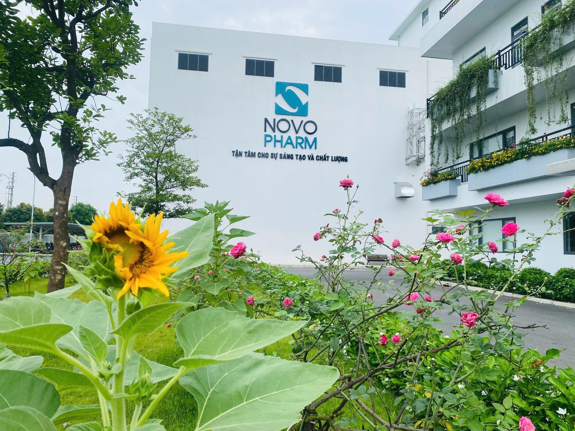 Dược Novopharm số hóa bao bì hòa nhịp xu hướng Net Zero toàn cầu! - Ảnh 4. Dược Novopharm số hóa bao bì hòa nhịp xu hướng Net Zero toàn cầu! - Ảnh 4.