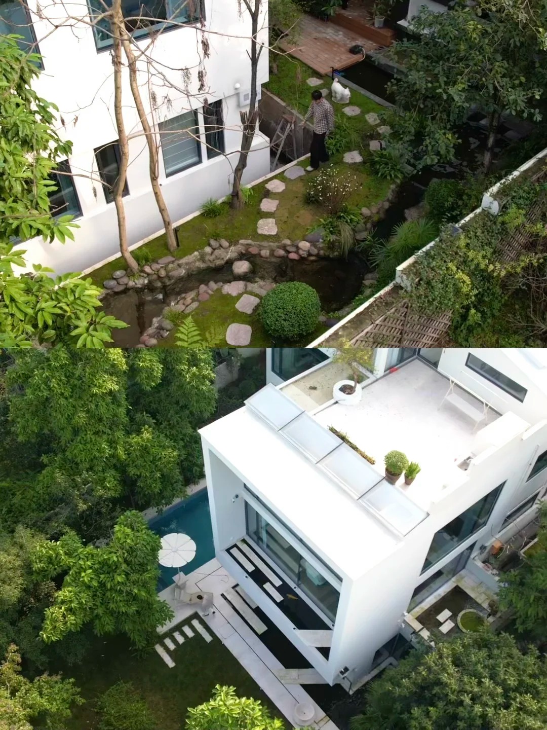 Hồ cá Koi trên ban công, cửa sổ view "4 mùa" của chàng trai lên núi xây nhà sống cùng 4 chú chó- Ảnh 4.