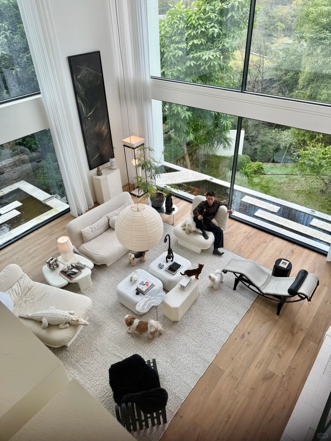 Hồ cá Koi trên ban công, cửa sổ view "4 mùa" của chàng trai lên núi xây nhà sống cùng 4 chú chó- Ảnh 5.