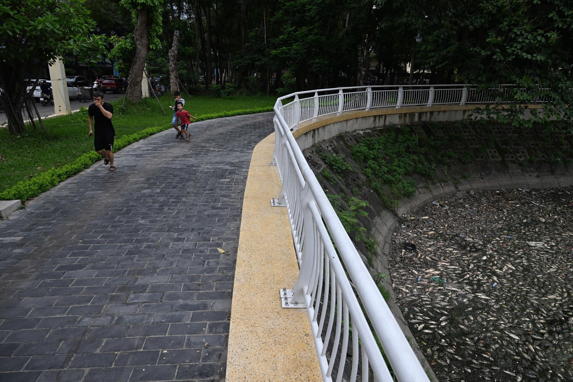 Hà Nội: Cá chết trắng hồ Nghĩa Đô, cảnh tượng bất thường "chưa từng thấy"- Ảnh 7. Hà Nội: Cá chết trắng hồ Nghĩa Đô, cảnh tượng bất thường "chưa từng thấy"- Ảnh 7.
