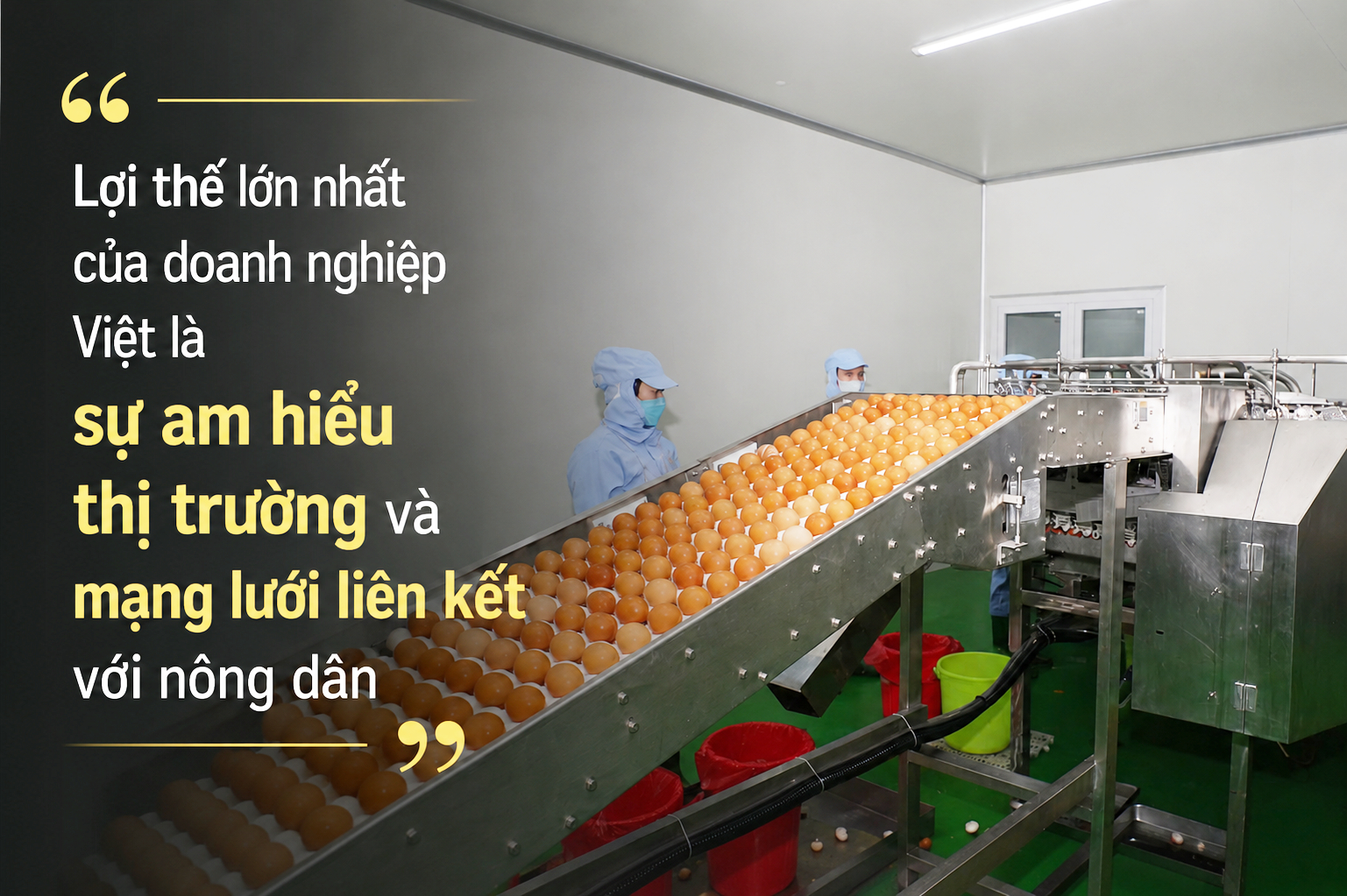 Mất 90% tài sản vì cúm gia cầm, người đàn ông miền Tây xây lại doanh nghiệp bán 1 triệu quả trứng mỗi ngày   - Ảnh 3.