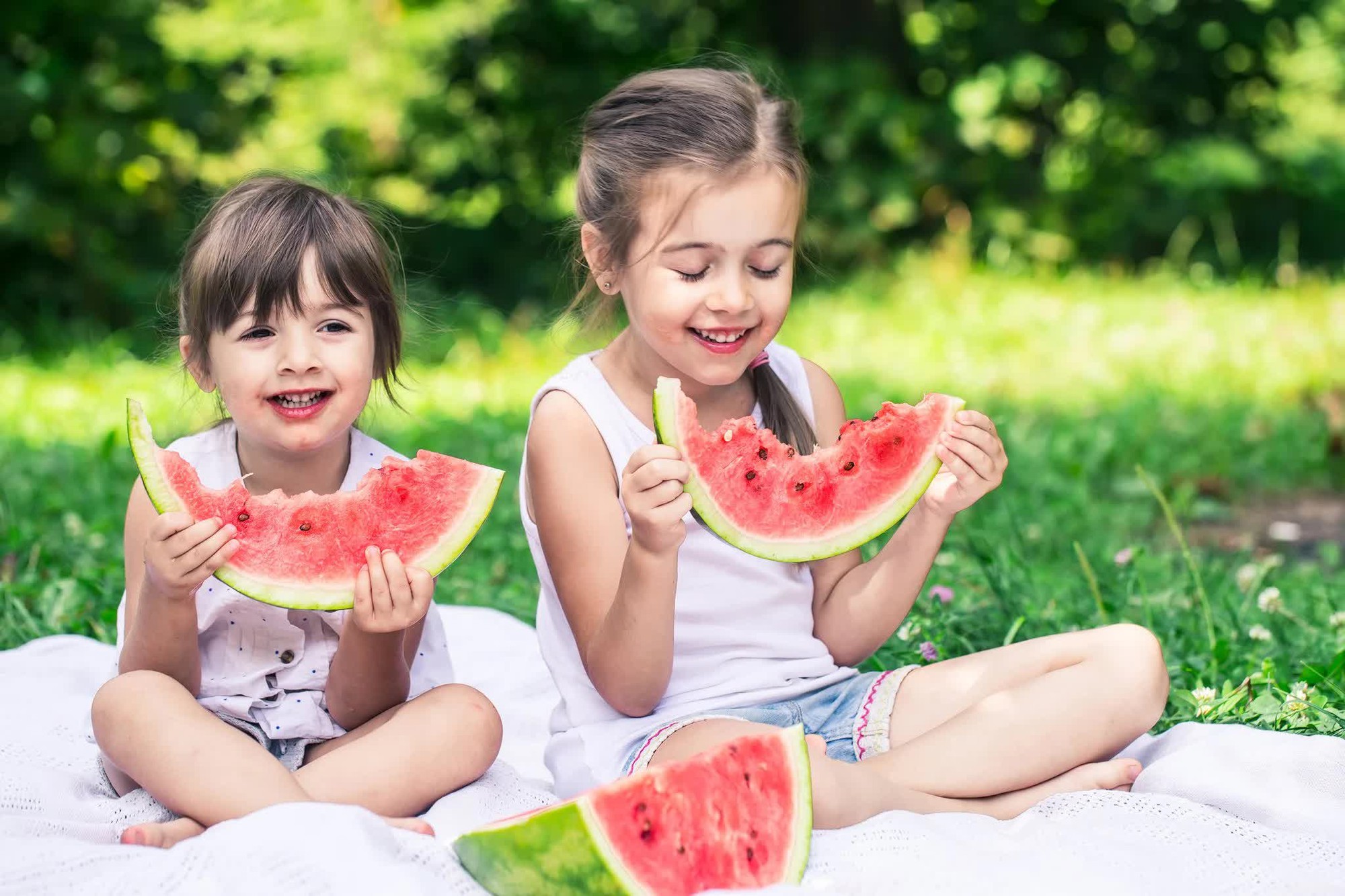 Mùa picnic đến rồi: Tránh ngay 6 sai lầm khiến thực phẩm nhanh biến thành "ổ vi khuẩn" dưới trời nắng nóng - Ảnh 5.
