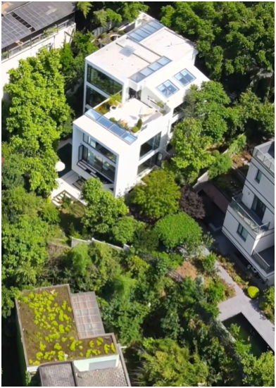Hồ cá Koi trên ban công, cửa sổ view "4 mùa" của chàng trai lên núi xây nhà sống cùng 4 chú chó- Ảnh 3.