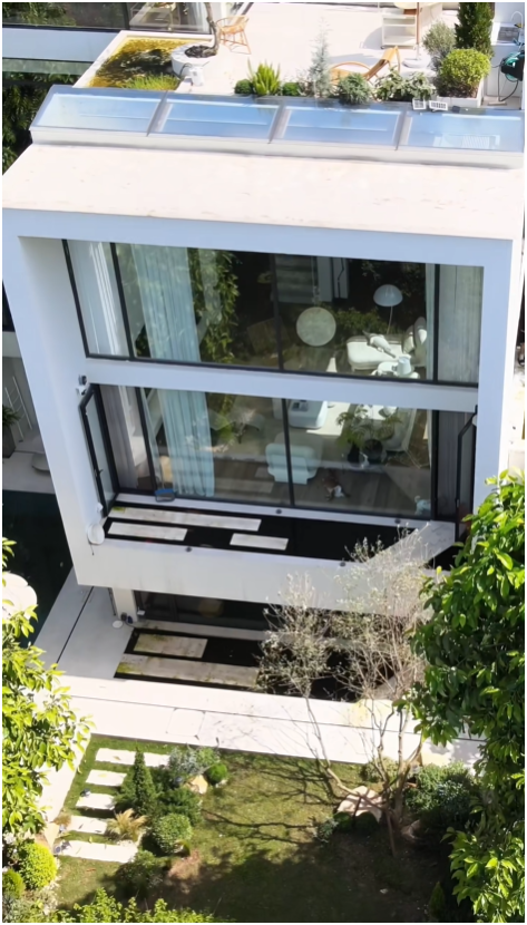 Hồ cá Koi trên ban công, cửa sổ view "4 mùa" của chàng trai lên núi xây nhà sống cùng 4 chú chó- Ảnh 2.