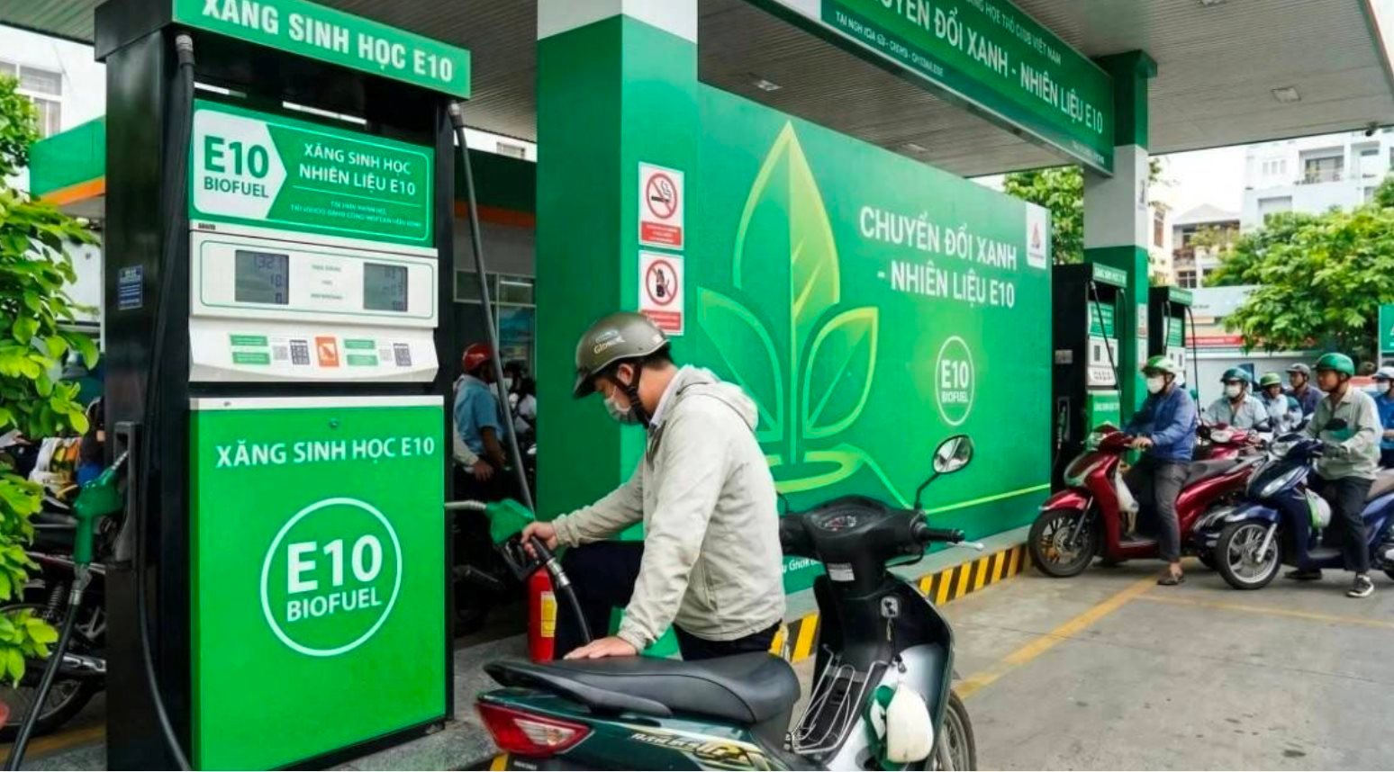 Lời giải cho nỗi lo xăng E10: Không Chính phủ nào lại đi bơm "máu bẩn" vào nền kinh tế- Ảnh 1.