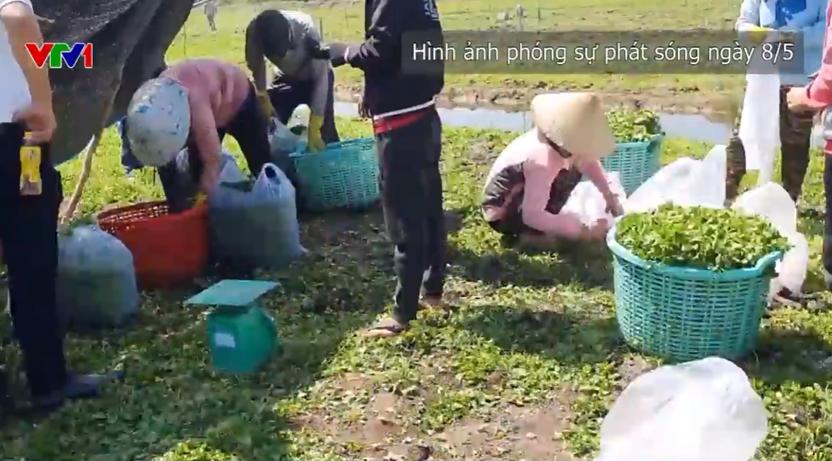 Khởi tố Chủ tịch CCV Group, hàng trăm người bị lừa hơn 1.000 tỷ đồng 2 Khởi tố Chủ tịch CCV Group, hàng trăm người bị lừa hơn 1.000 tỷ đồng