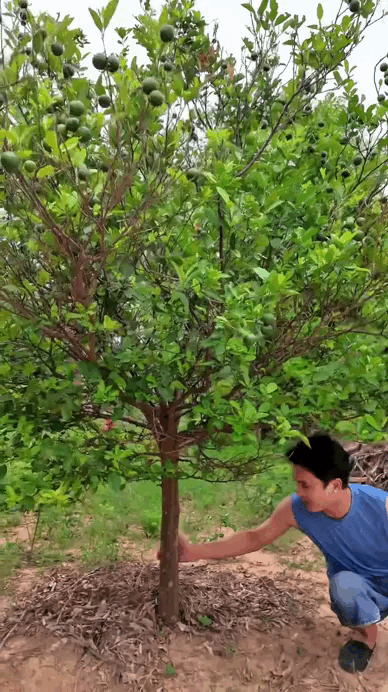Nam nghệ sĩ Việt xây nhà sàn ốp 8.000 thanh gỗ để báo hiếu bố mẹ: Cả cơ ngơi chất chứa tấm lòng người con- Ảnh 9.