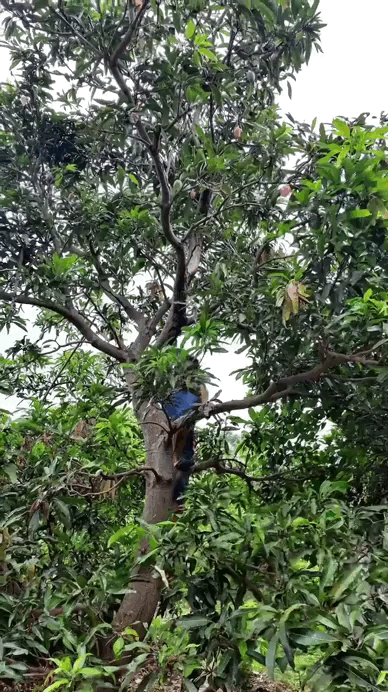 Nam nghệ sĩ Việt xây nhà sàn ốp 8.000 thanh gỗ để báo hiếu bố mẹ: Cả cơ ngơi chất chứa tấm lòng người con- Ảnh 10.