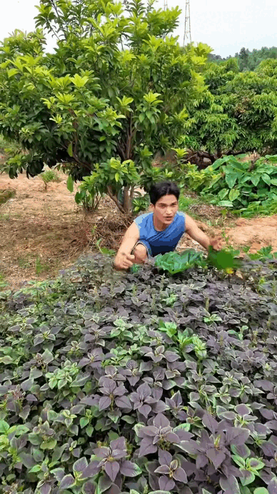 Nam nghệ sĩ Việt xây nhà sàn ốp 8.000 thanh gỗ để báo hiếu bố mẹ: Cả cơ ngơi chất chứa tấm lòng người con- Ảnh 5.