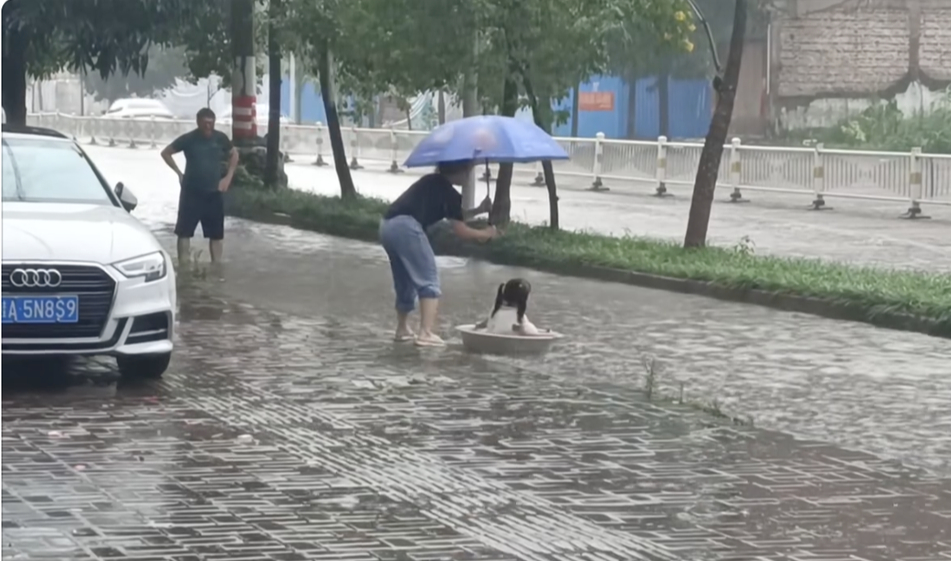 Đoạn clip vài giây trên phố ngày mưa ngập khiến hàng ngàn người ghen tỵ: Thật là 1 đứa trẻ GIÀU CÓ!- Ảnh 1.