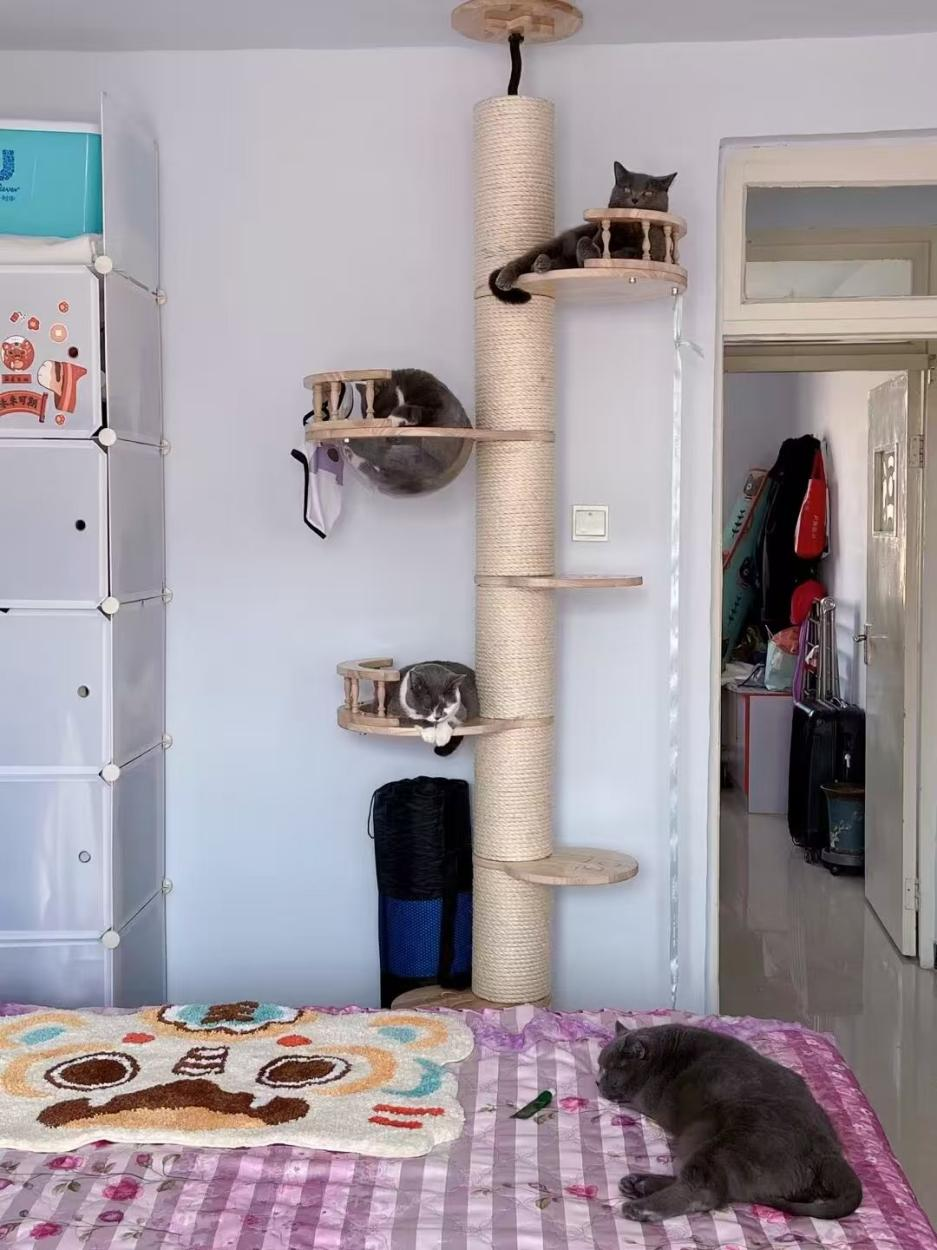 Lương 11 triệu vẫn liều vay mua nhà, 3 năm trả hết khoản nợ 1,4 tỷ đồng: Mỗi ngày tiêu không quá 108k- Ảnh 2.