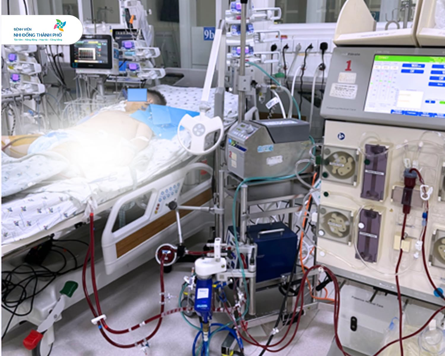 Nhiễm virus cúm thông thường nhưng bé trai 11 tuổi vẫn bị sốc tim nguy kịch, BS khuyến cáo một việc phụ huynh không được TỰ Ý LÀM khi con bị cảm sốt- Ảnh 1.