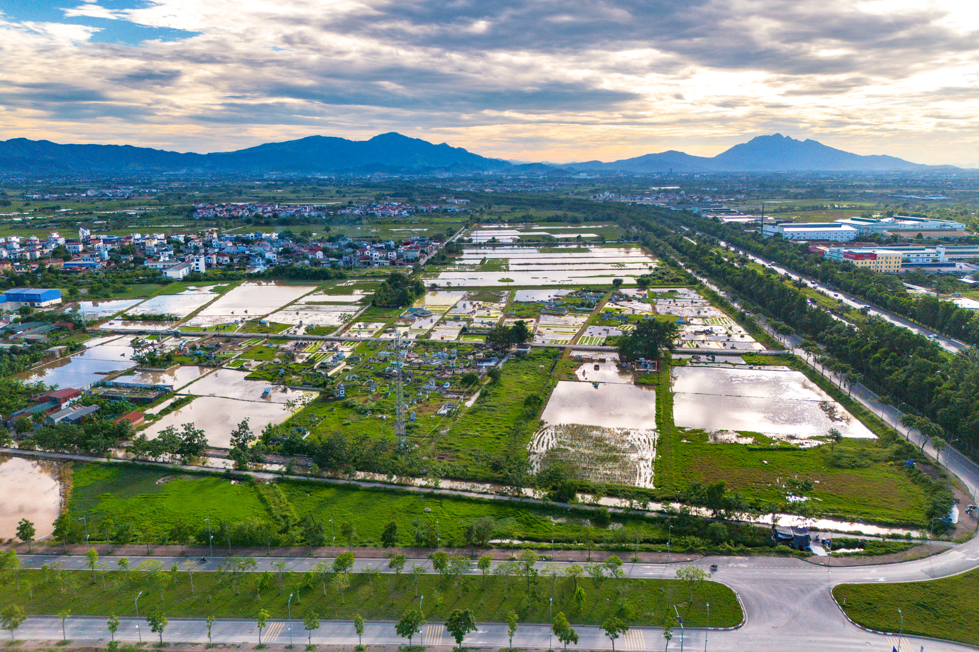 Toàn cảnh khu vực cách trung tâm 20km sắp có 3 đại học lớn quy mô hàng chục ha chuyển về, nằm sát tuyến metro số 5, giá đất vượt 100 triệu/m2 - Ảnh 2.