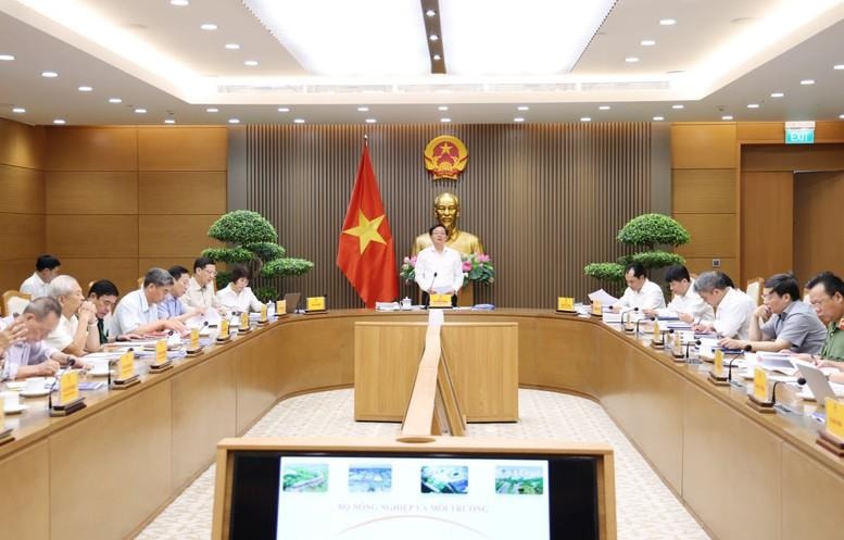 Phó Thủ tướng: Thay đổi tư duy phát triển từ "phân lô bán nền" sang phát triển các khu nhà ở cao tầng, chung cư- Ảnh 1.