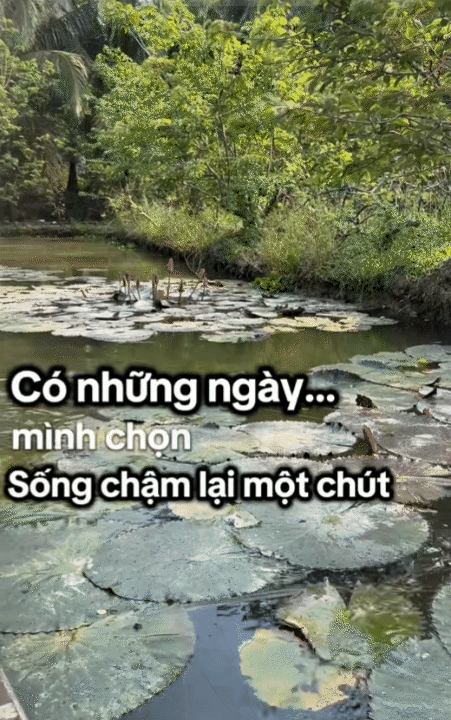 Mẹ đảm miền Tây nghỉ việc ở tuổi 32, mở tiệm nước bằng 6 triệu đồng: Lãi tháng đầu chưa tới 700.000 đồng nhưng bài học về dòng tiền mới đắt giá nhất- Ảnh 20.