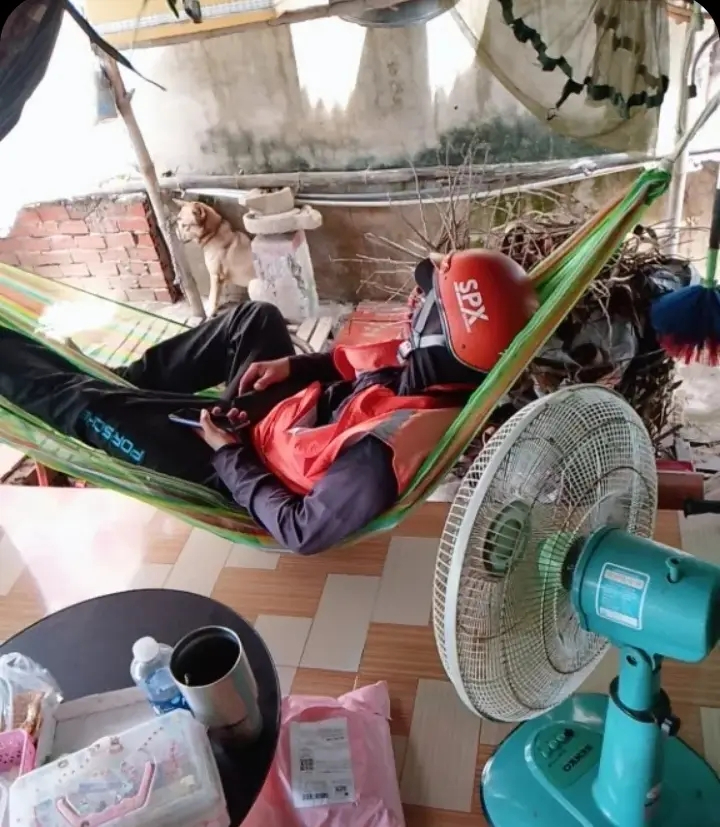 Shipper gọi ra nhận hàng nhưng lại “mất tích”, khách quay vào nhà thấy cảnh tượng tá hỏa- Ảnh 7.