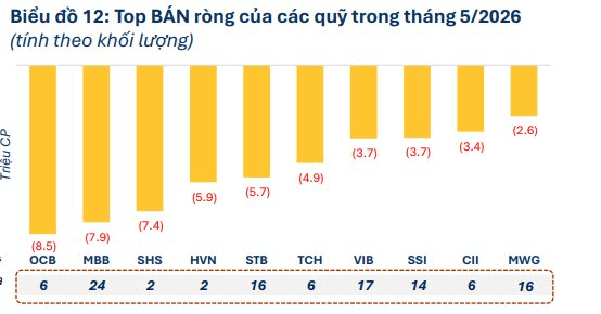 Một cổ phiếu ngân hàng được 32 quỹ cùng "xuống tiền" giữa lúc thị trường rung lắc- Ảnh 5.