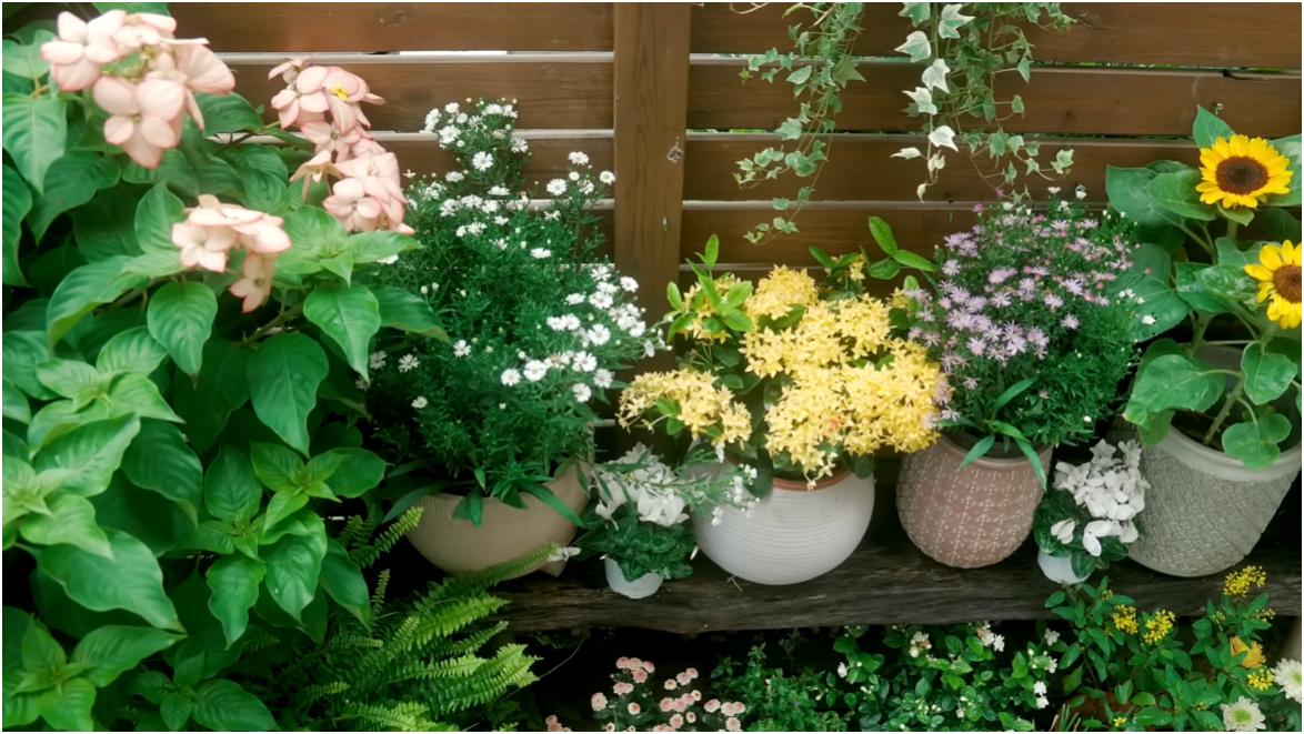 Bên trong biệt thự cổ 300m2 giữa rừng của nữ TikToker 3 triệu follower - Ảnh 10.