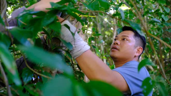 Lần đầu tiên: Toàn bộ người dân Việt Nam được trải nghiệm miễn phí 1 thứ - Ảnh 7.