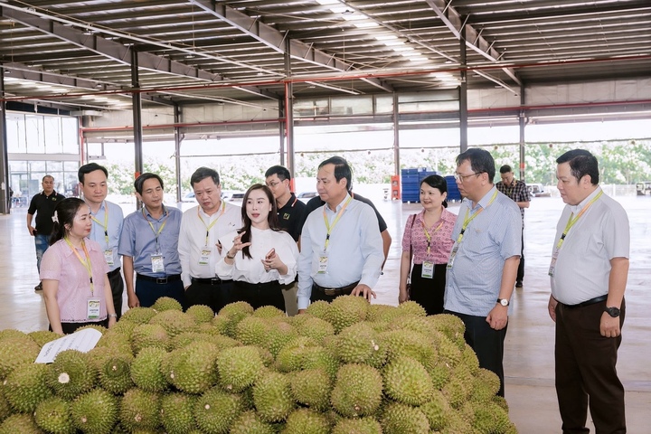 Gỡ nút thắt kiểm nghiệm để giữ thị trường tỷ đô cho sầu riêng Việt- Ảnh 1.