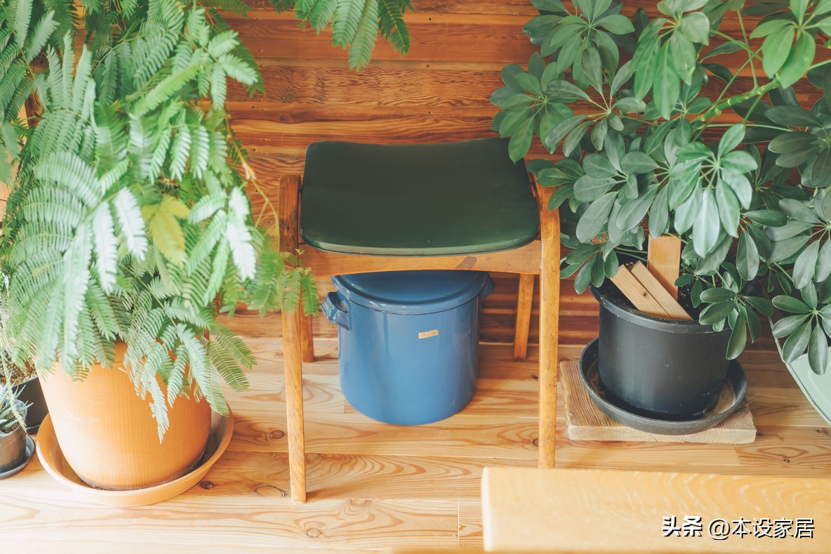Người phụ nữ U40 biến căn bếp thành “khu vườn xanh” với hơn 30 loại cây: Mỗi sáng thức dậy đều thấy cuộc sống đáng yêu hơn- Ảnh 7.