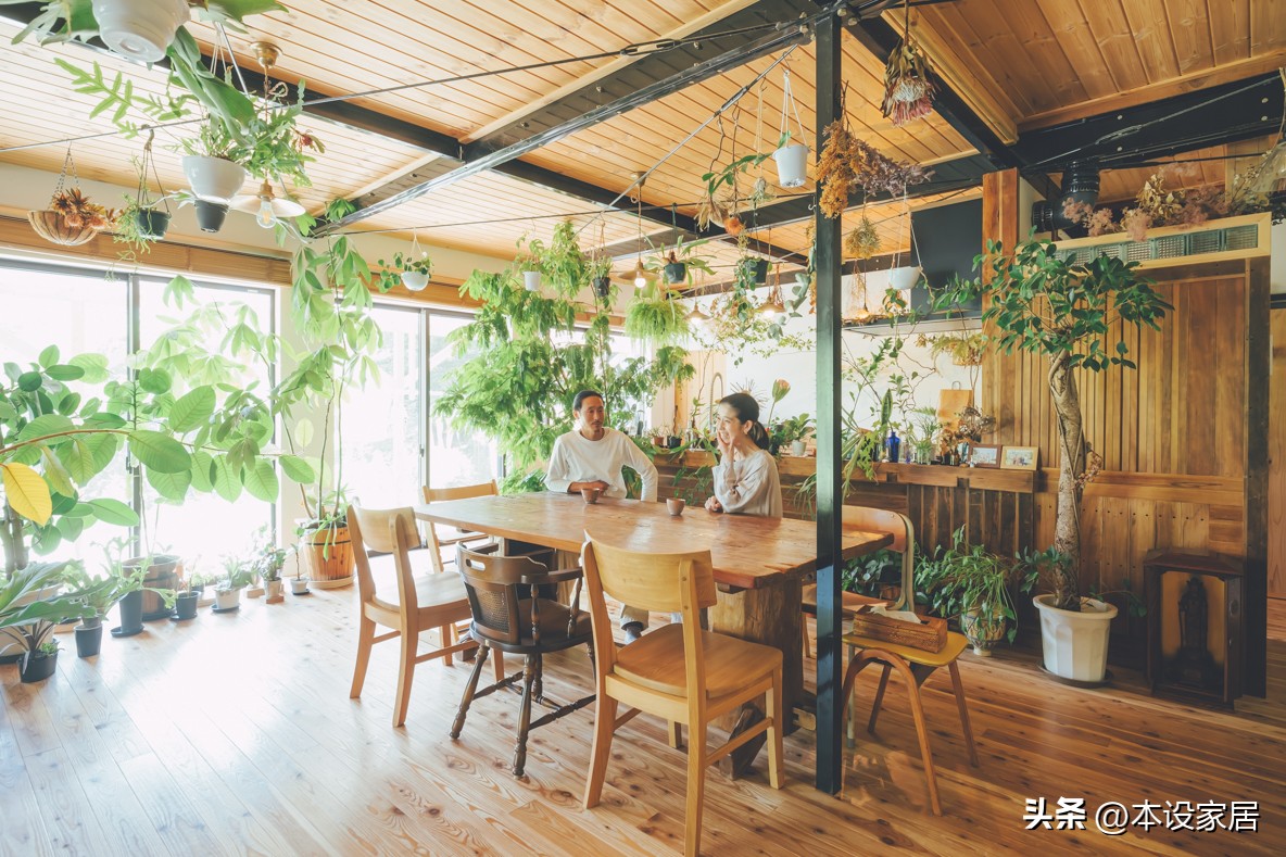 Người phụ nữ U40 biến căn bếp thành “khu vườn xanh” với hơn 30 loại cây: Mỗi sáng thức dậy đều thấy cuộc sống đáng yêu hơn- Ảnh 8.