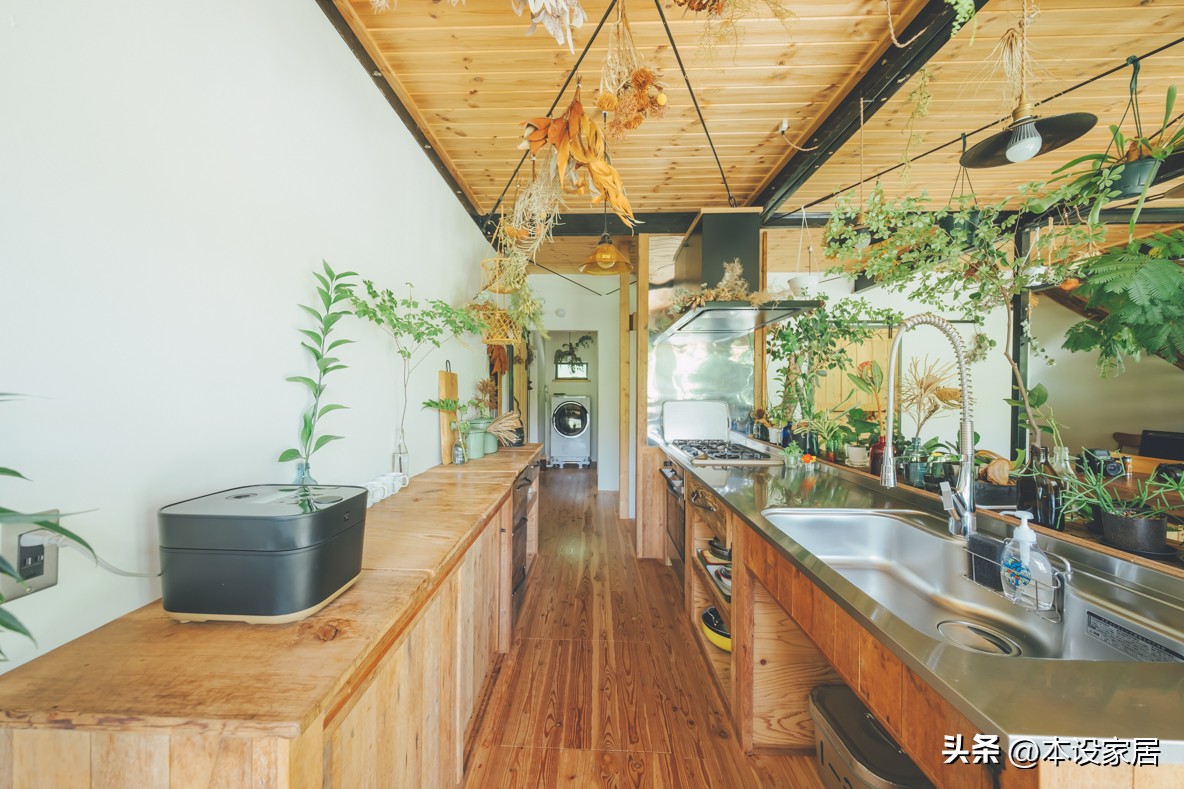 Người phụ nữ U40 biến căn bếp thành “khu vườn xanh” với hơn 30 loại cây: Mỗi sáng thức dậy đều thấy cuộc sống đáng yêu hơn- Ảnh 5.