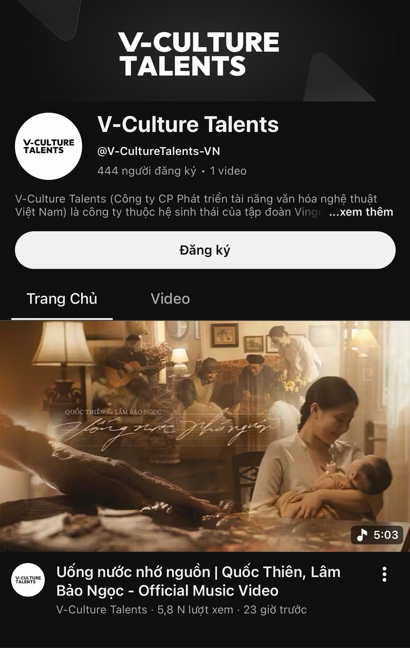 Doanh nghiệp của tỷ phú Phạm Nhật Vượng ra MV đầu tay, chính thức ra mắt mảng âm nhạc- Ảnh 1.