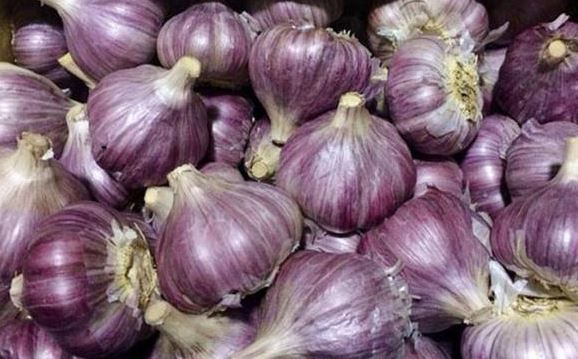 Ăn tỏi mỗi sáng khi bụng đói, người đàn ông 58 tuổi nhận cái kết "không thể ngờ" - Ảnh 3.