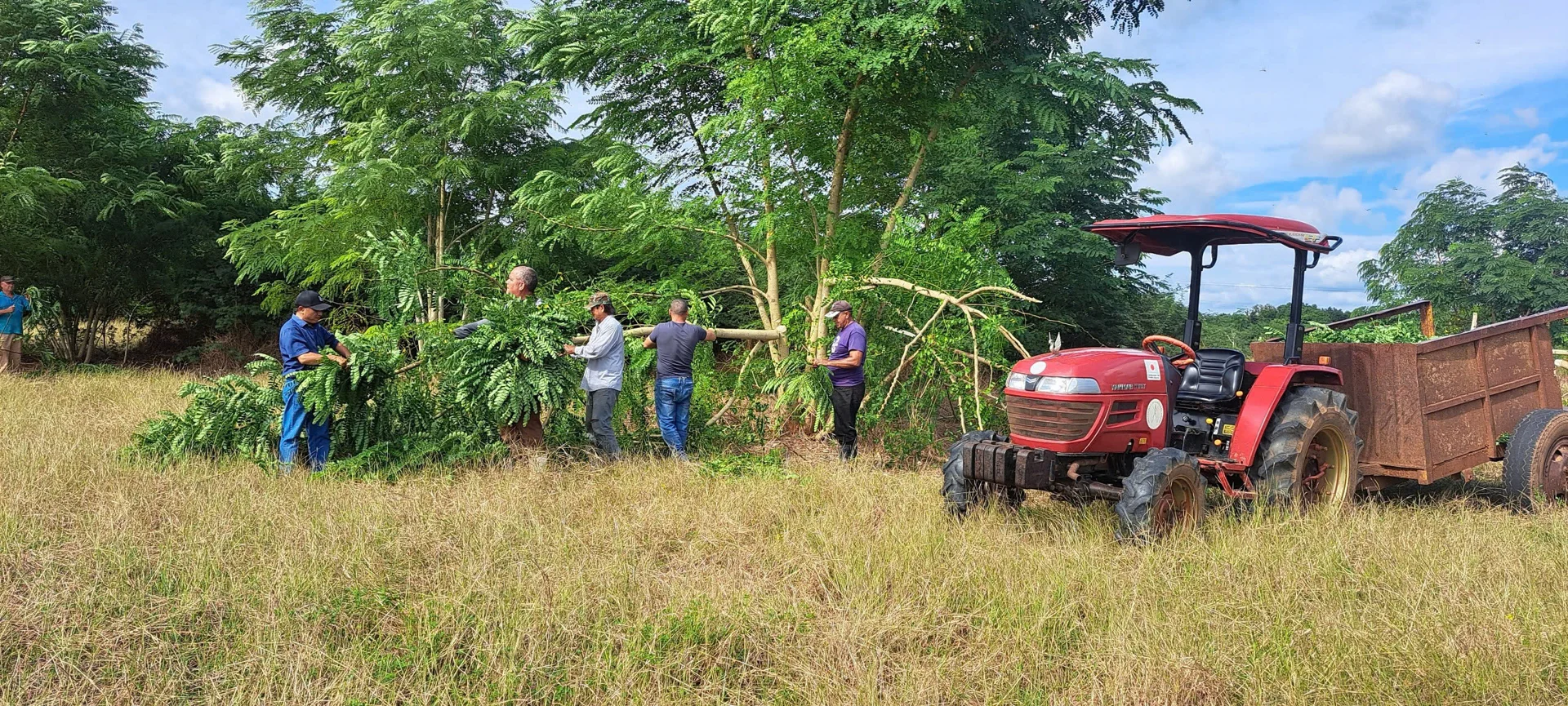 Vượt nửa vòng Trái đất đến Cuba: Kỹ sư Việt bắt tay làm ngay 1 việc, kỳ tích xuất hiện vào tháng 5/2026 - Ảnh 2.