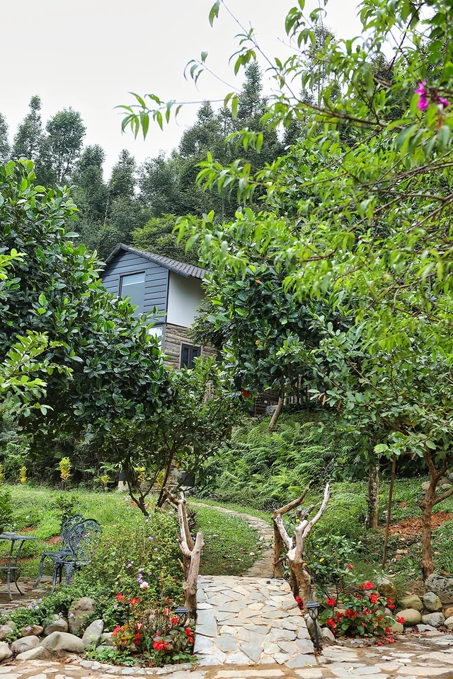Việt Nam có 3
