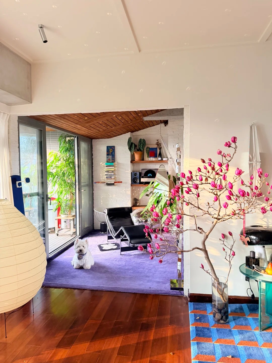 Chàng trai chi 2,2 tỷ decor căn hộ 250m2 để "ở nhà còn sướng hơn ra ngoài chơi"- Ảnh 16.