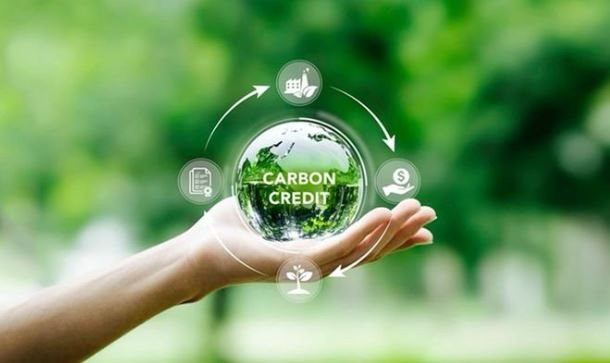 Từ việc Việt Nam ghi nhận giao dịch carbon đầu tiên, giá 136.000 đồng/tấn: Các quốc gia trên thế giới triển khai như thế nào?- Ảnh 2.