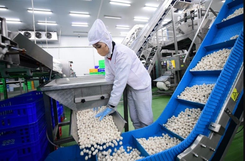 Excelsior Capital và LC Foods: Chung tầm nhìn xây dựng thương hiệu thực phẩm Việt- Ảnh 2.