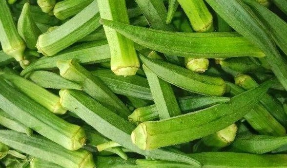 Việt Nam có loại quả tốt ngang "kem chống nắng tự nhiên", kích thích tóc mọc tua tủa: Biết dùng còn giảm cân, xương khớp dẻo dai, đỡ đau mỏi- Ảnh 1.