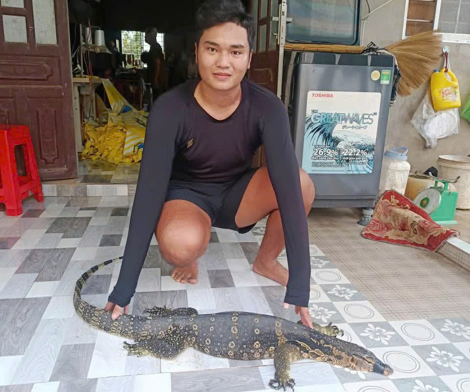 Một người dân ở Tây Ninh giao nộp kỳ đà hoa nặng 6,5kg - Ảnh 1.