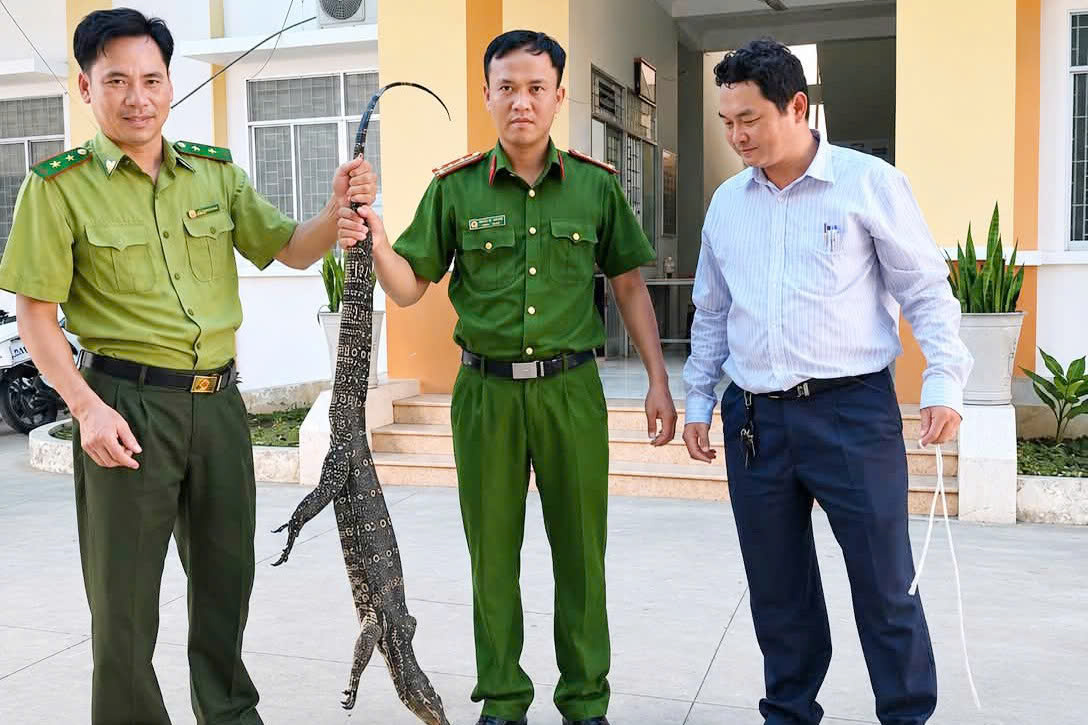 Một người dân ở Tây Ninh giao nộp kỳ đà hoa nặng 6,5kg - Ảnh 2.
