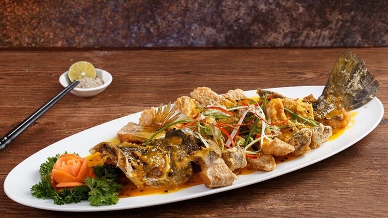 Loài cá giá trị với dinh dưỡng vượt trội, sống được cả ở nước ngọt và nước mặn - Ảnh 9.