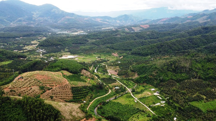 Gỡ nút thắt mặt bằng, tăng tốc đường liên vùng Khánh Hòa - Lâm Đồng - Ninh Thuận- Ảnh 3.