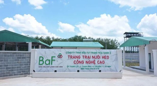 Baf Việt Nam chốt quyền nhận cổ phiếu thưởng và cổ tức tổng tỷ lệ 20%- Ảnh 1.