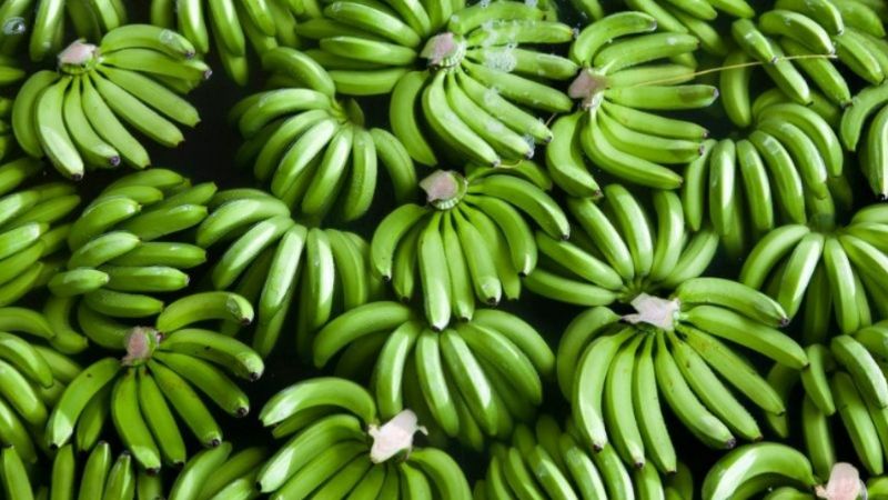 Chuối xanh, chuối chín vàng hay chín đốm nâu mới tốt cho sức khỏe nhất?- Ảnh 1.