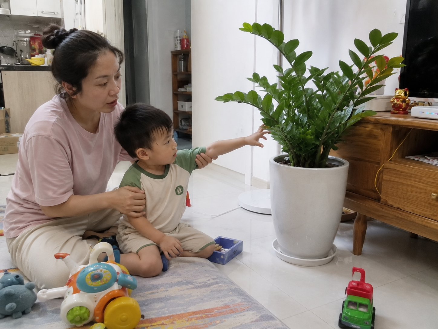 Cây kim tiền được xem là “hút tài lộc”, nhưng có 3 kiểu gia đình nên cân nhắc kỹ trước khi mua về nhà- Ảnh 2.