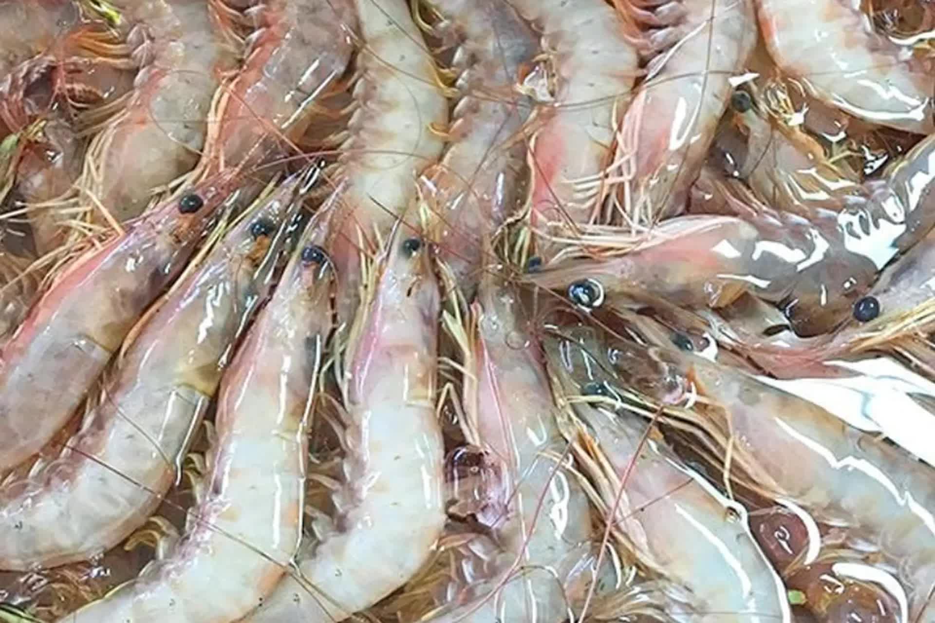 Không phải thịt gà hay thịt bò, đây là 3 loại thịt "chân ái" mà bạn có thể nấu được 3 món ngon lại nhanh với hơn 10 phút- Ảnh 17.