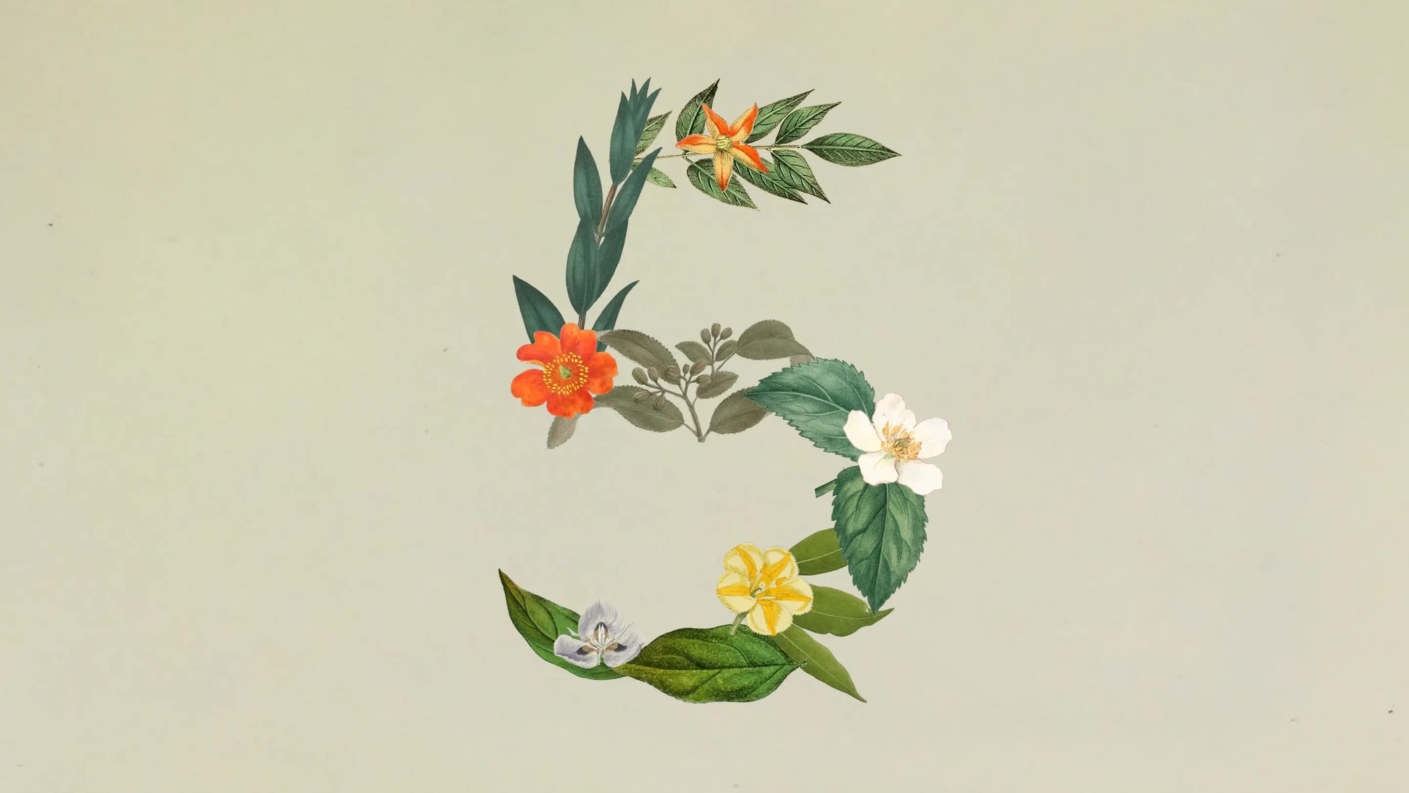 Anthropic ra mắt Claude Sonnet 5: Ngang ngửa Opus 4.8 nhưng giá chỉ bằng một nửa- Ảnh 1.