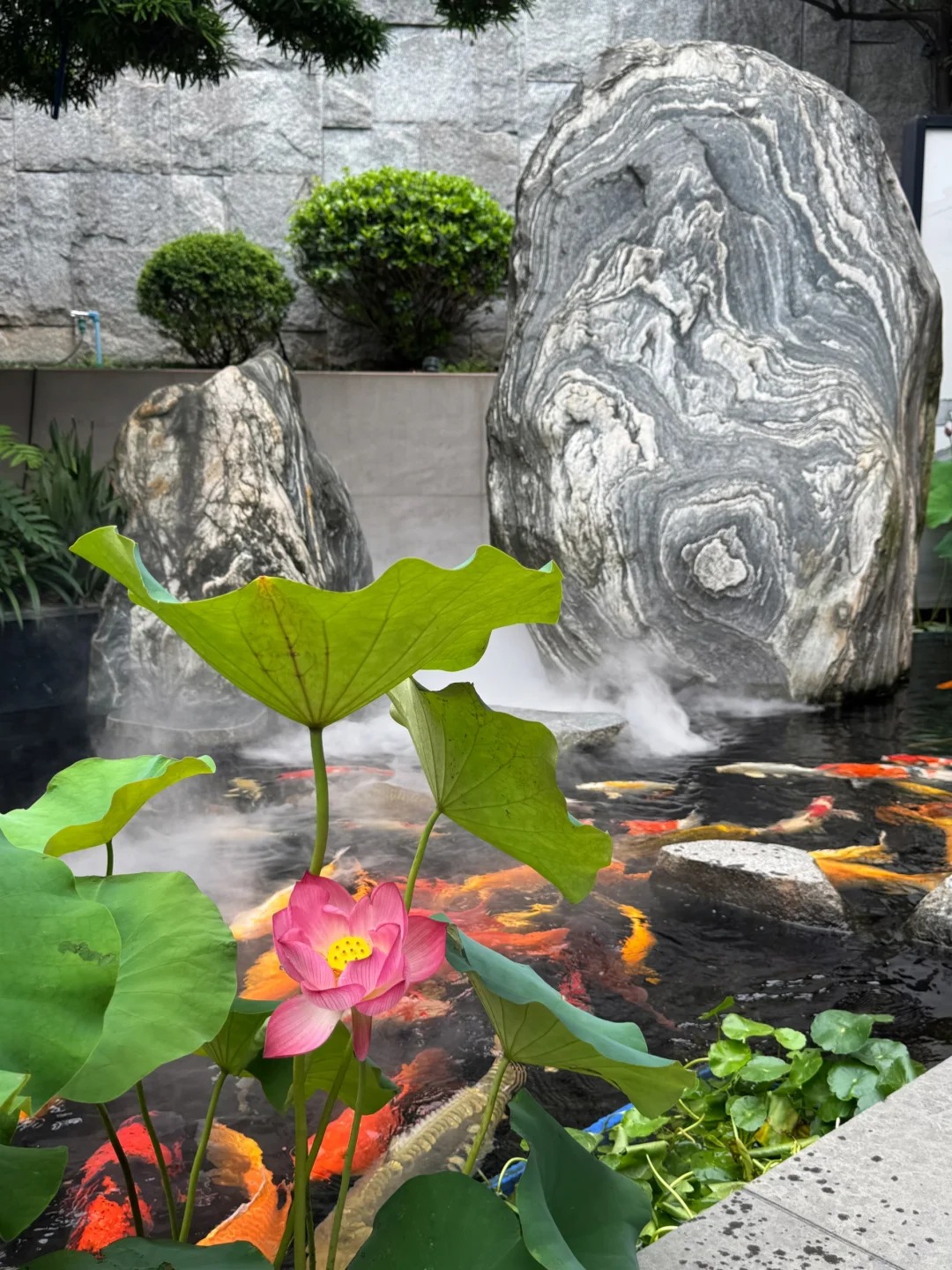 "Công viên" trong nhà, rạp chiếu phim 770 triệu: Cảm giác sống trong biệt thự 1000m2 là thế này ư? - Ảnh 18.