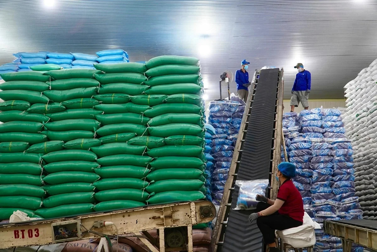 Việt Nam đón tin vui lớn từ Iraq và Trung Quốc - Ảnh 1.