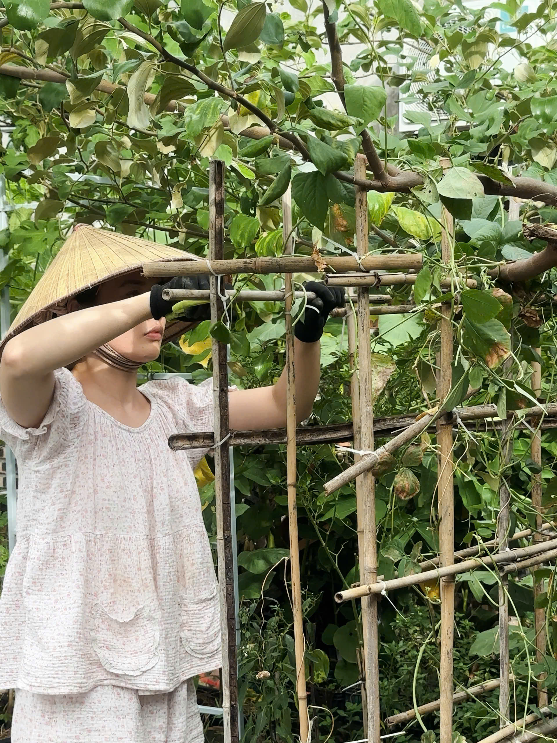 Work from anywhere: Rời Hà Nội và TP HCM, 2 người trẻ xây nhà, lương đều, ít ốm vặt và tiết kiệm hơn- Ảnh 7.