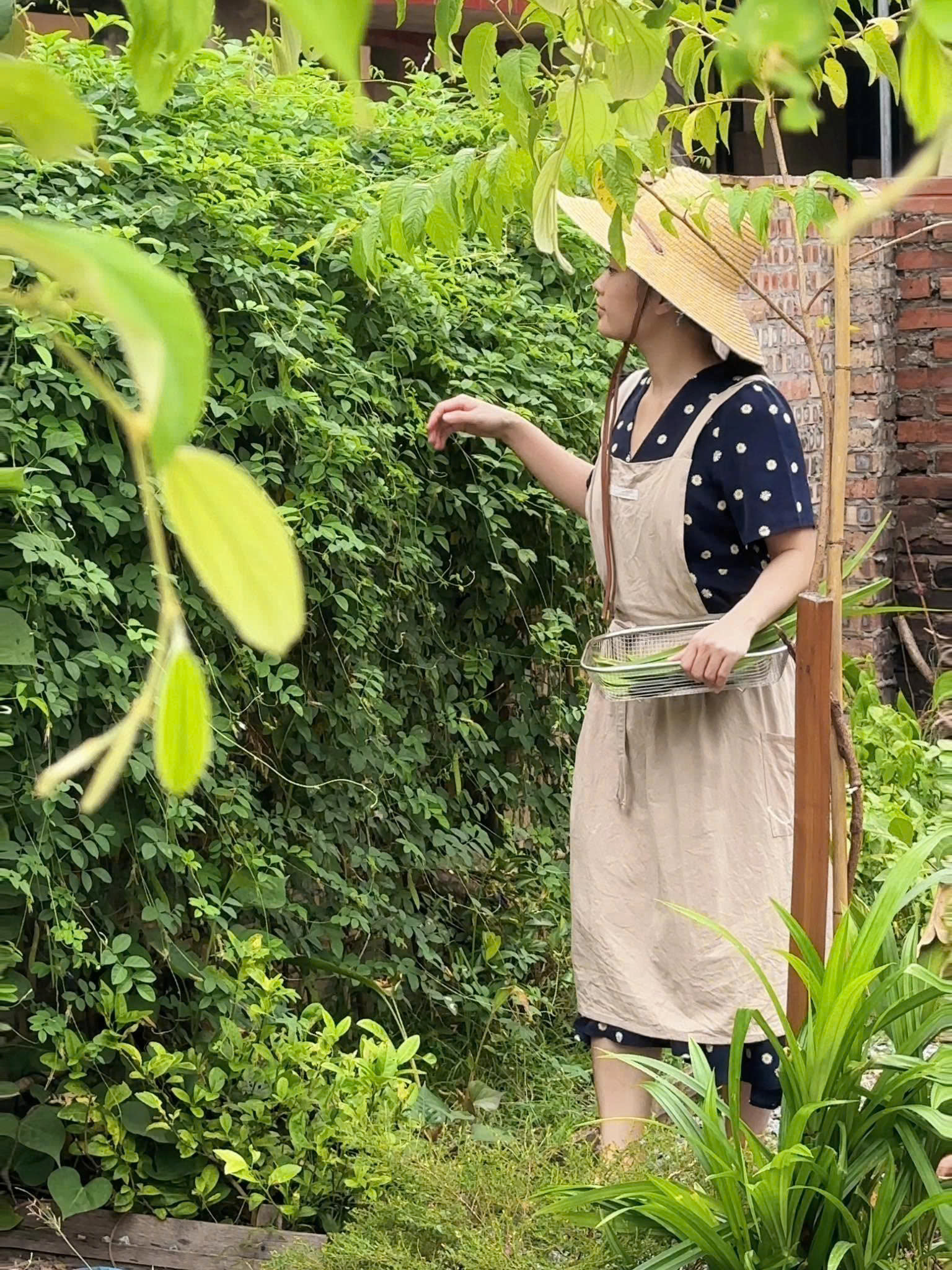 Work from anywhere: Rời Hà Nội và TP HCM, 2 người trẻ xây nhà, lương đều, ít ốm vặt và tiết kiệm hơn- Ảnh 8.