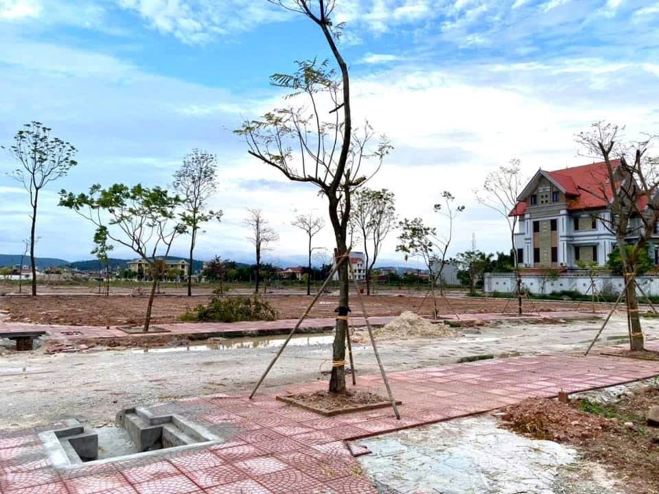 Thị trường đất đấu giá phân hóa: Nơi giảm sâu 30%, nơi ngược dòng giữ sóng- Ảnh 1.